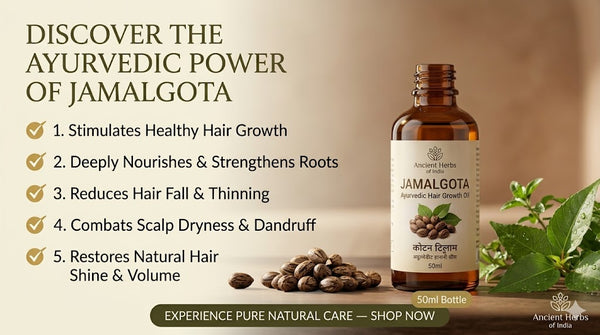 Jamalgota Ayurvedic Hair Growth Oil (50ml)