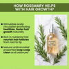 Rosemary Water Hair & Scalp Mist – 100ml × 2 | Buy 1 Get 1 Free
