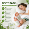 DD Mild Care Detox Foot Patch (Buy 1 Get 1)